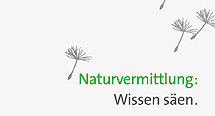 Corporate Design Naturvermittlung: Wissen säen.