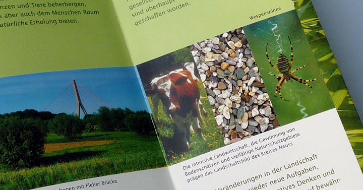 Corporate Design Flyer Haus der Natur