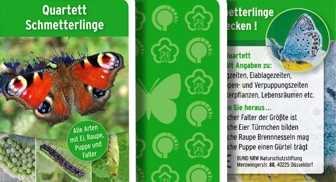 Schmetterling des Jahres