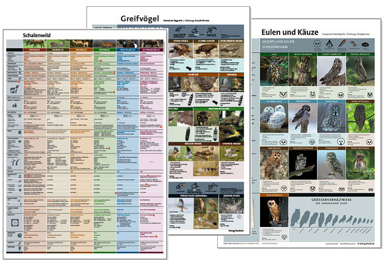 Uebersicht Schalenwild, Greifvögel Jagdausbildung